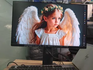 24 Inch Monitor