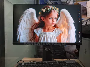 24 Inch Monitor