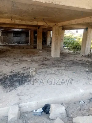 Photo - 1bdrm House in Akaky Kaliti for sale