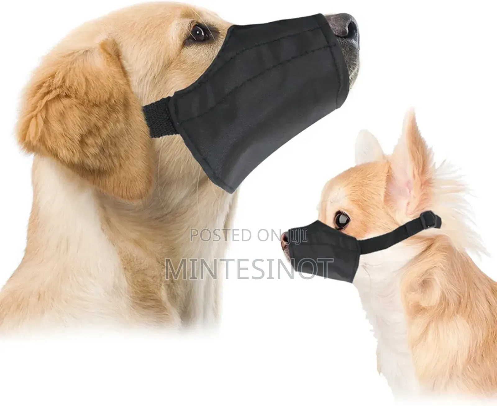 Dog Muzzle / የውሻ የአፍ ማፈኛ