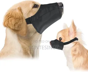 Photo - Dog Muzzle / የውሻ የአፍ ማፈኛ