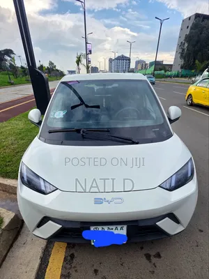 Photo - New BYD Seagull 38 kWh FWD 2024 White