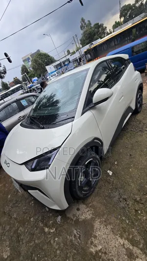 New BYD Seagull 38 kWh FWD 2024 White