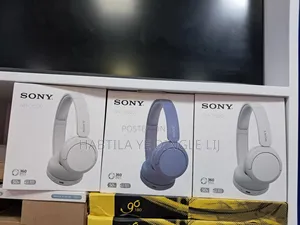 Sony Headset