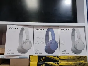 Sony Headset