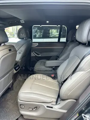 New Denza N9 2025 Green