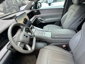 New Denza N9 2025 Green