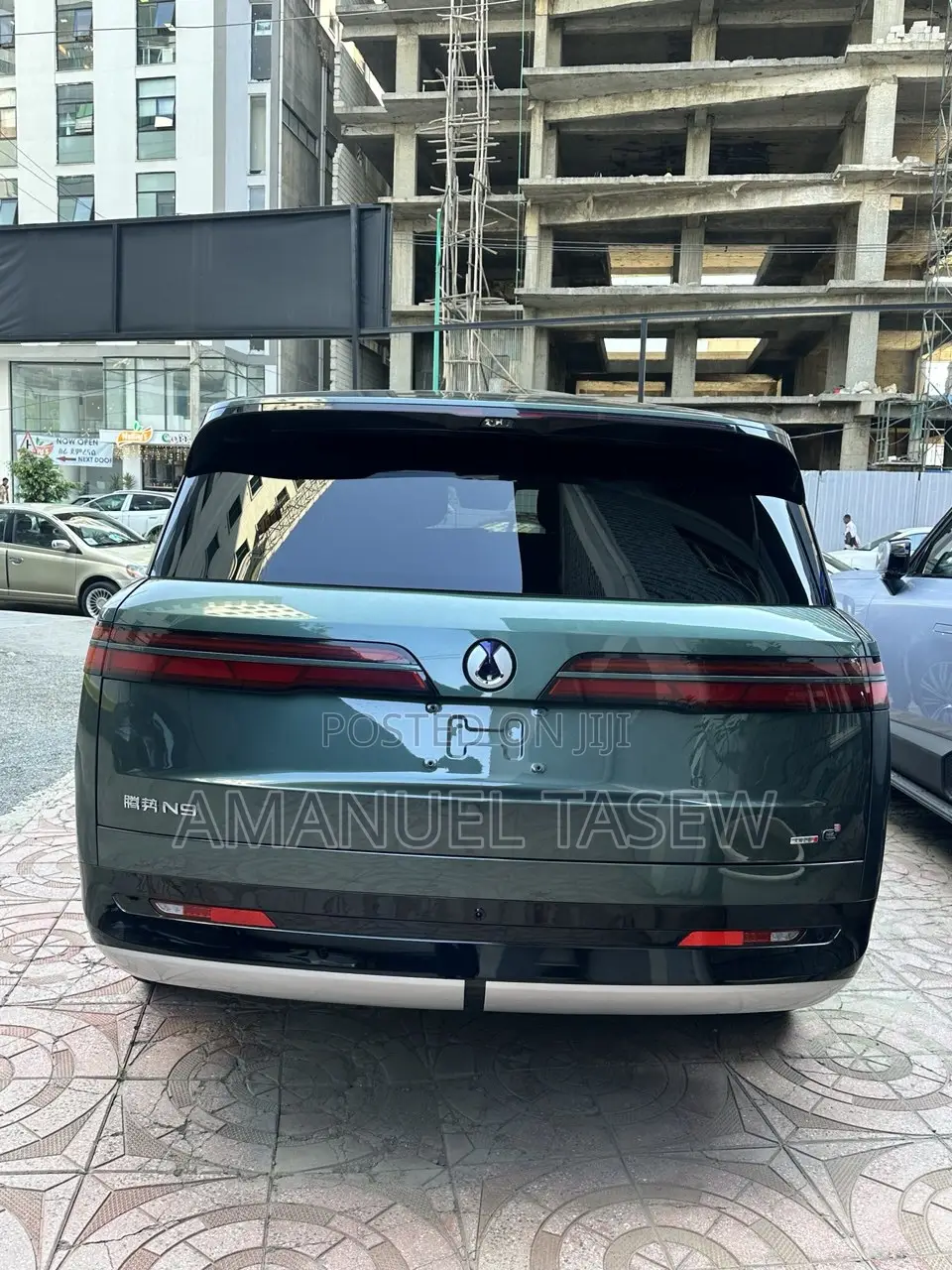 New Denza N9 2025 Green