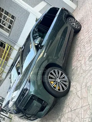 New Denza N9 2025 Green