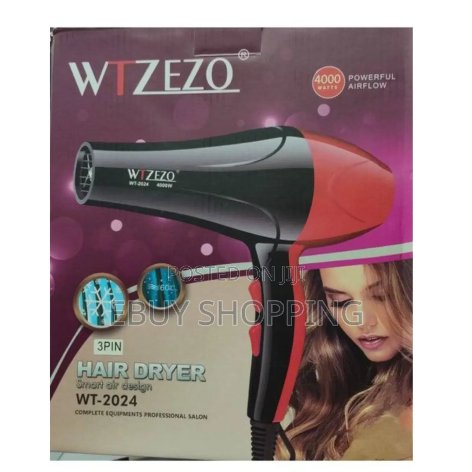 4000 Powerful Aireflow Hair Dryer