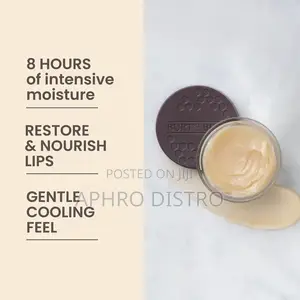 Burt’S Bees Overnight Lip Treatment