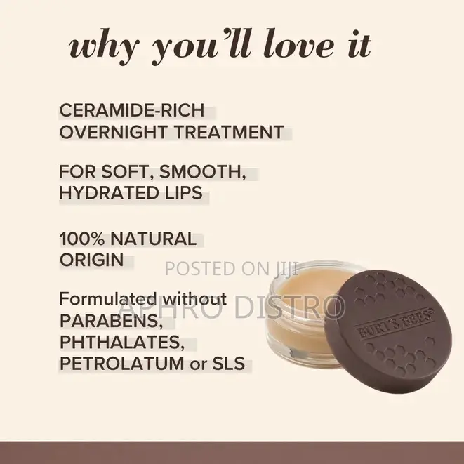 Burt’S Bees Overnight Lip Treatment