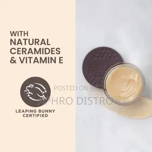 Photo - Burt’S Bees Overnight Lip Treatment