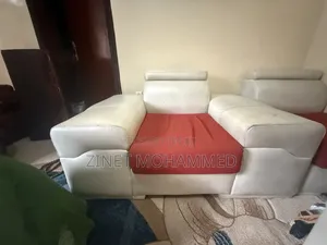 Sofa in a Good Condition and Price