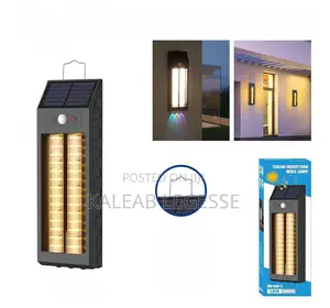  Solar Induction Wall Lamp