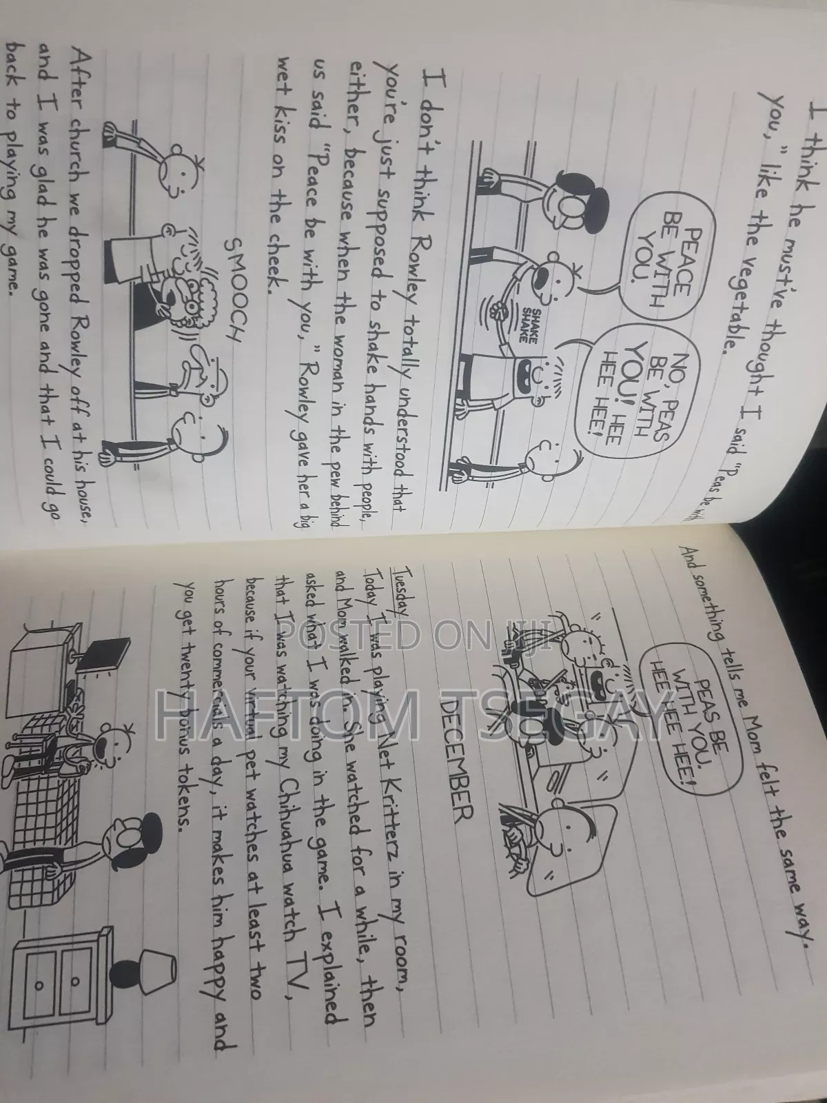 Diary of a Wimpy Kid: Cabin Fever