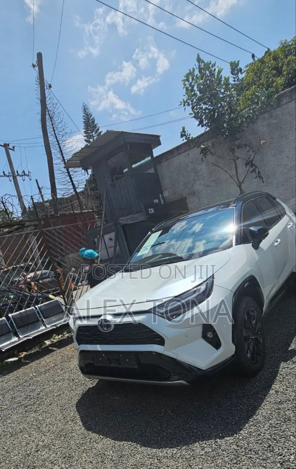 New Toyota RAV4 Hybrid 2023 White
