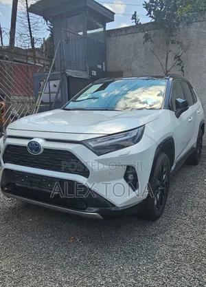 New Toyota RAV4 Hybrid 2023 White