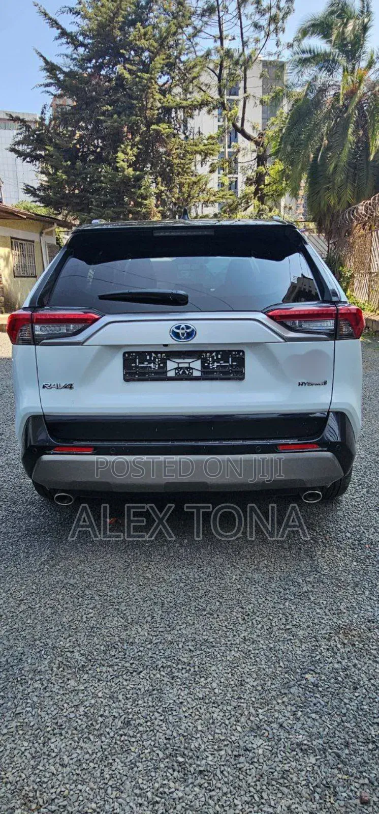 New Toyota RAV4 Hybrid 2023 White