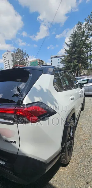 New Toyota RAV4 Hybrid 2023 White