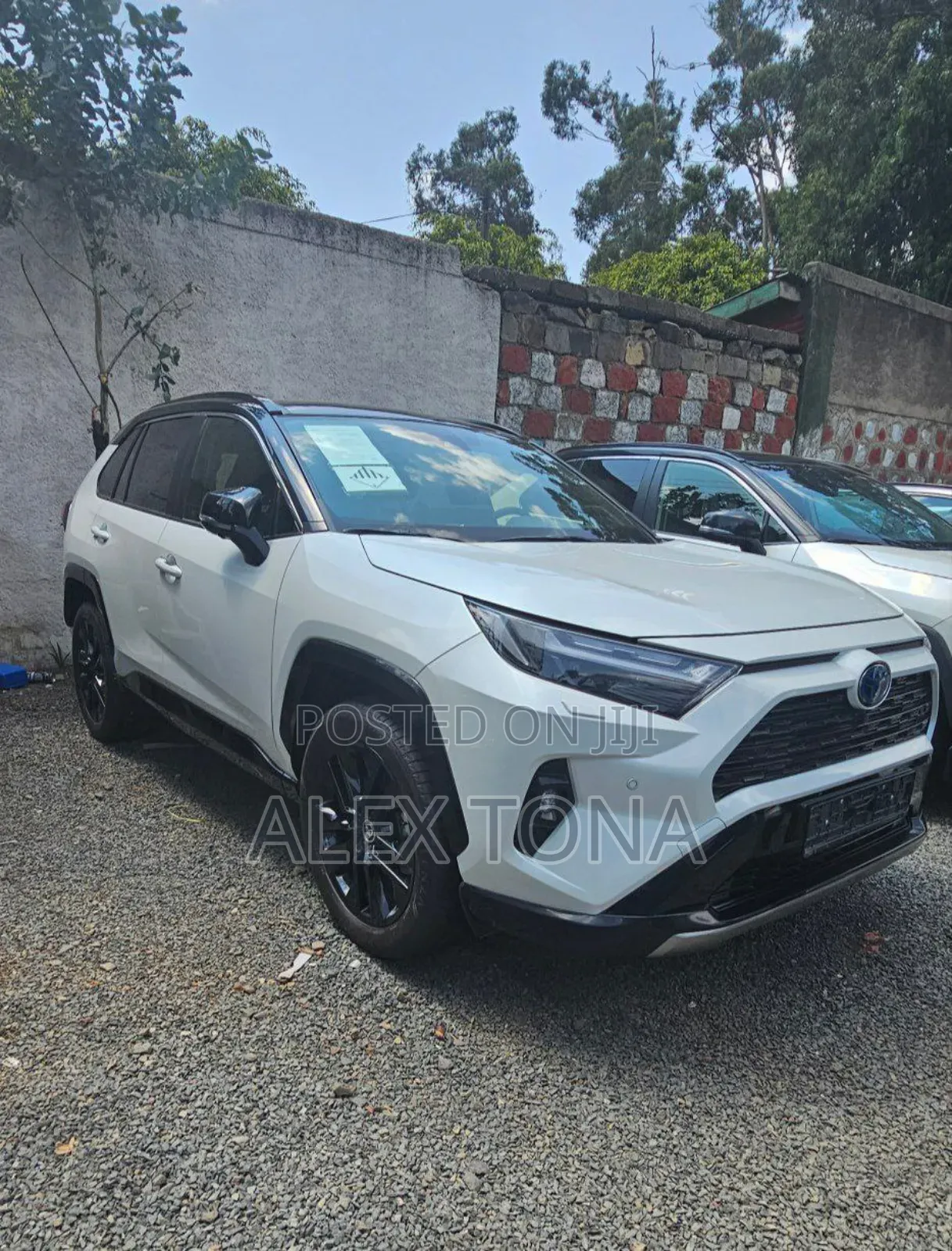 New Toyota RAV4 Hybrid 2023 White