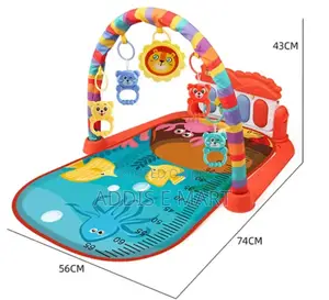 Multifunction Piano Fitness Rack Mat