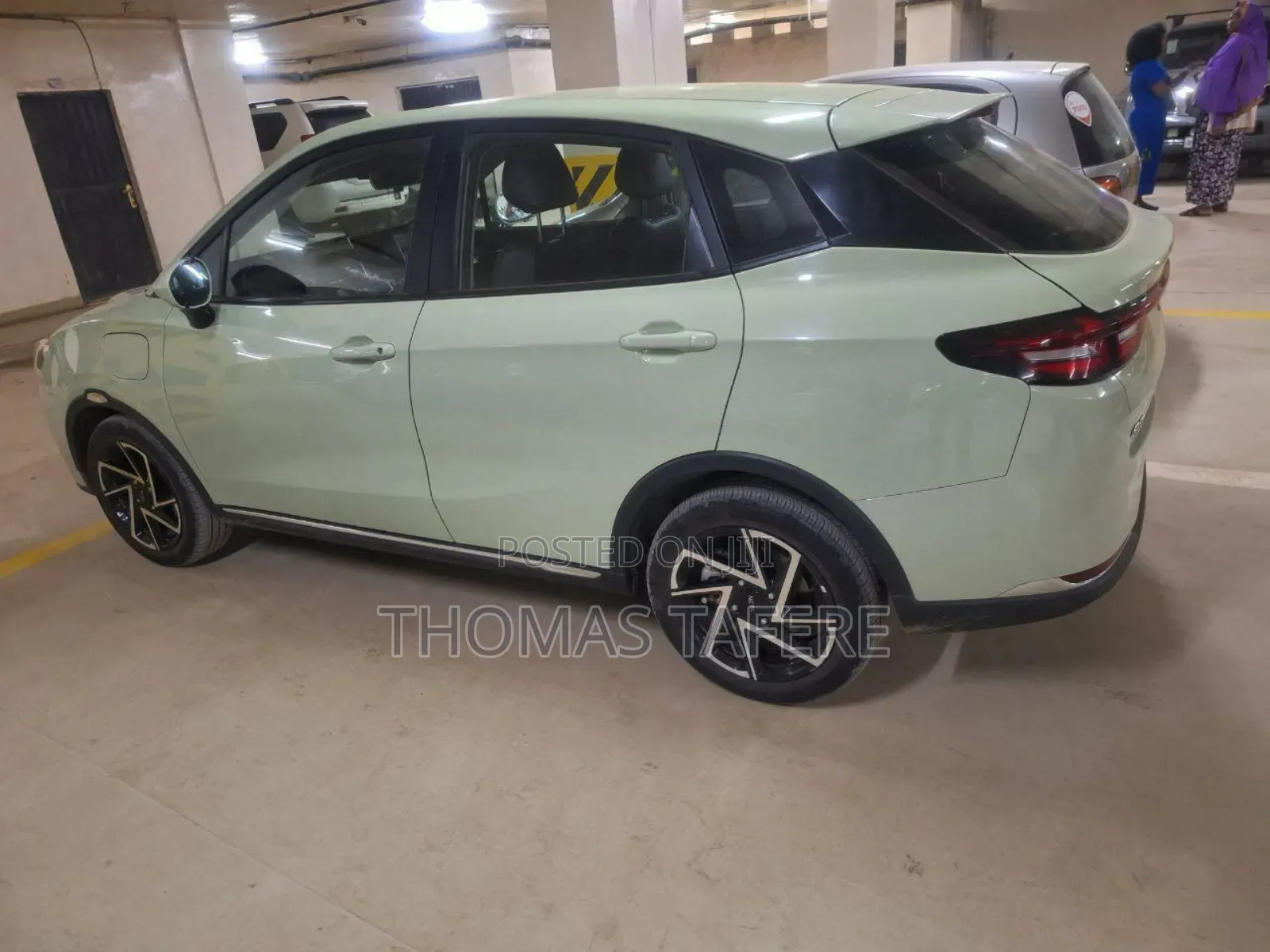 Hozon Neta Aya 2024 Green