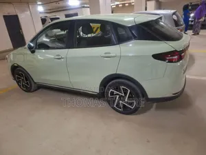 Hozon Neta Aya 2024 Green