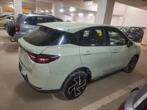 Hozon Neta Aya 2024 Green