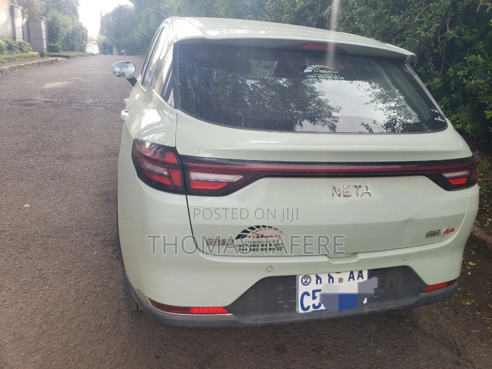 Hozon Neta Aya 2024 Green