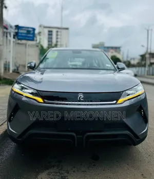Photo - New BYD Yuan Up 2024 Gray