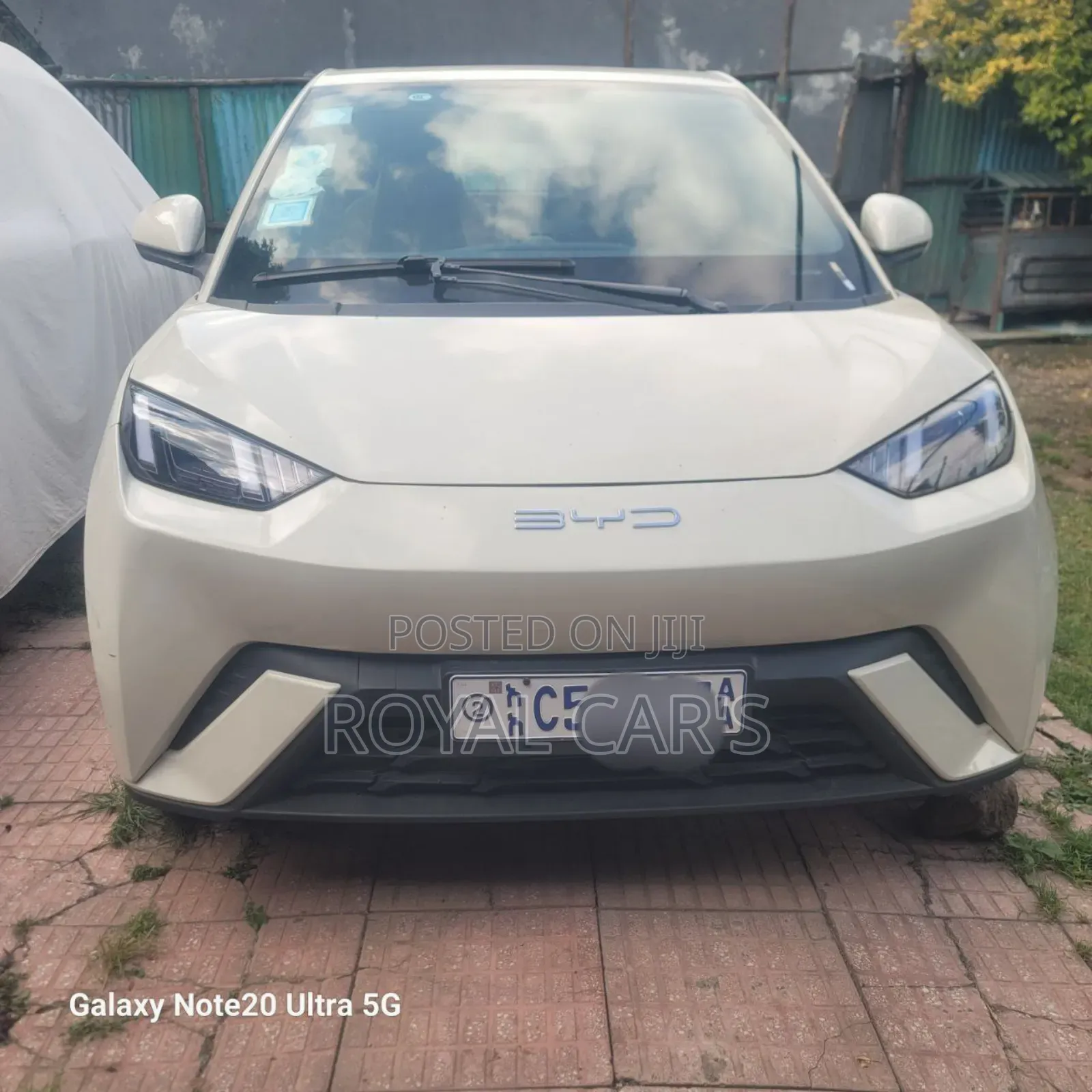 New BYD Seagull 2024 Off white