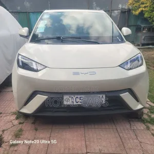 Photo - New BYD Seagull 2024 Off white