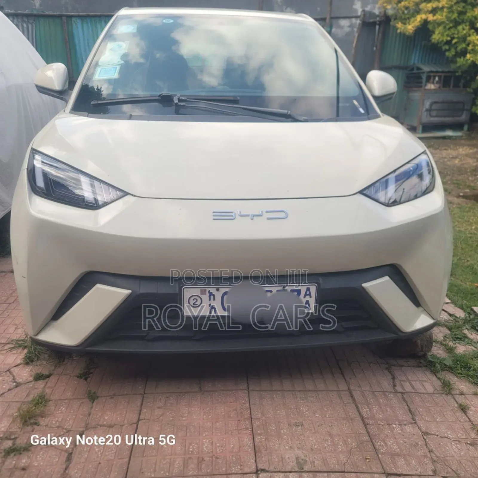 New BYD Seagull 2024 Off white