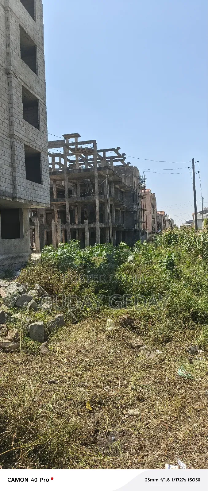 94 Kare Kolen Yeweta Kality Alem Bank