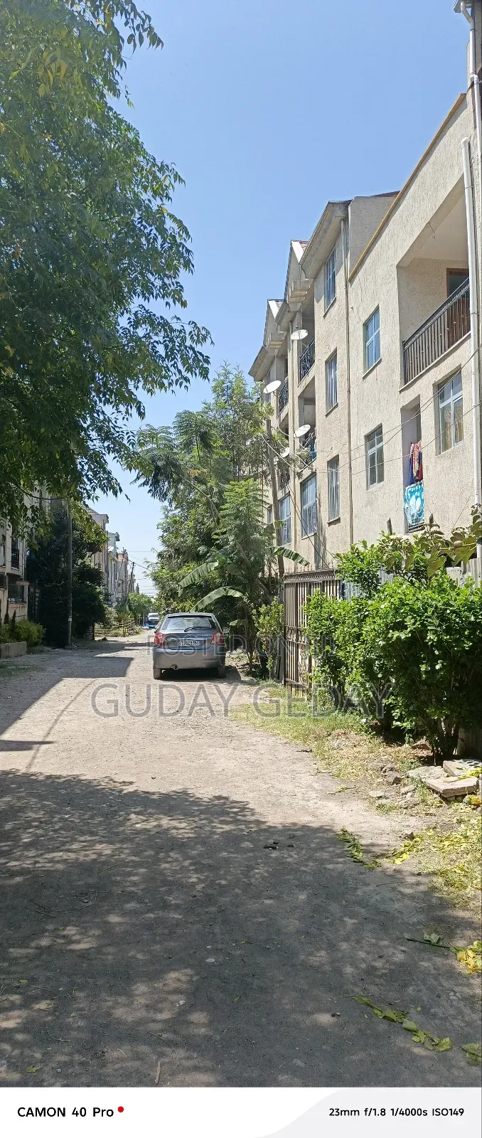 Furnished 5bdrm Mansion in Akaky Kaliti for sale