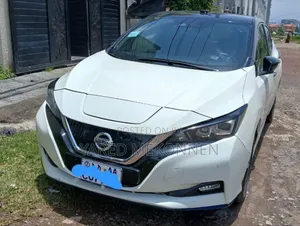 Photo - Nissan Leaf 2020 White