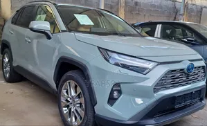 Photo - New Toyota RAV4 2024 Gray