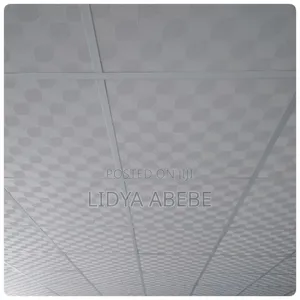 Photo - Water Proof Ceiling