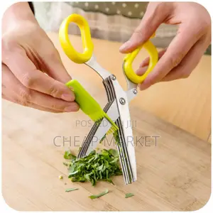 Five Balde Stainless Steel Scissor
