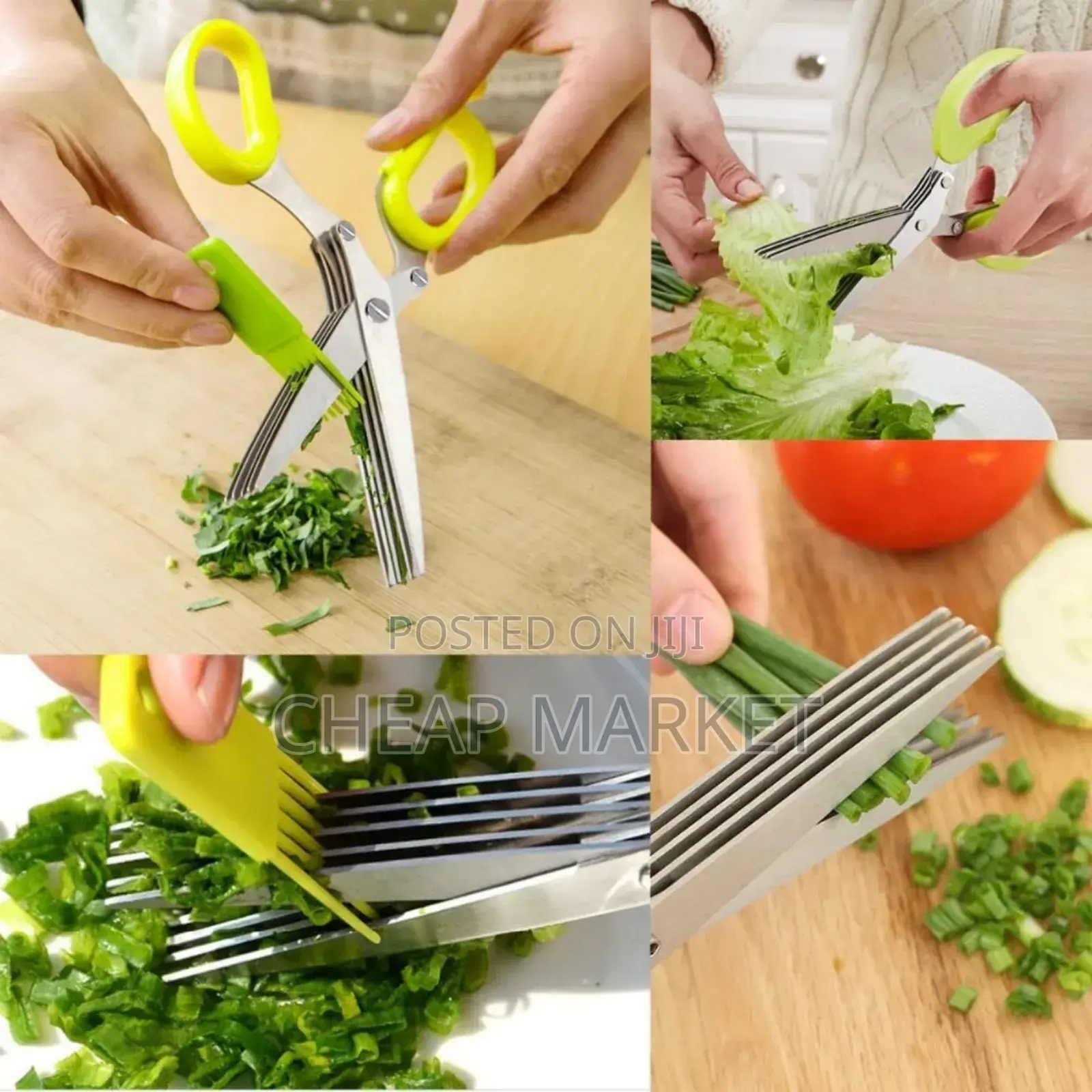 Five Balde Stainless Steel Scissor