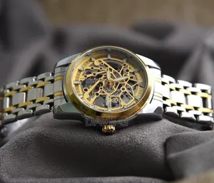 Mens Mechanical Wrist Watches Classic Skeleton Automatic