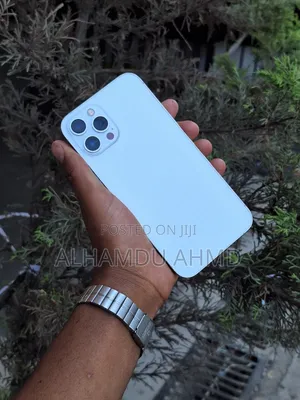 Apple iPhone 12 Pro Max 256 GB