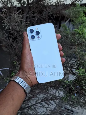 Apple iPhone 12 Pro Max 256 GB