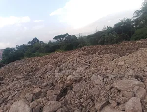 Photo - ሠሌክት ማቴሪያል