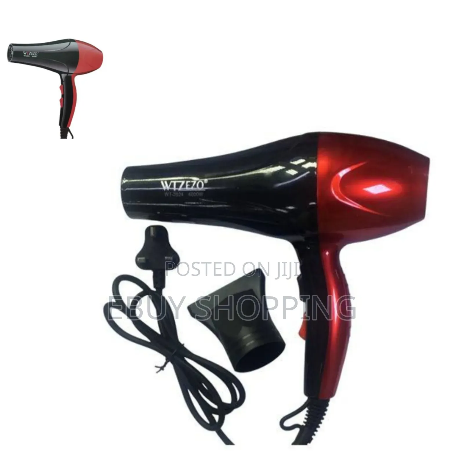 Professional 4000 Aireflow Ionic Blow Dryer