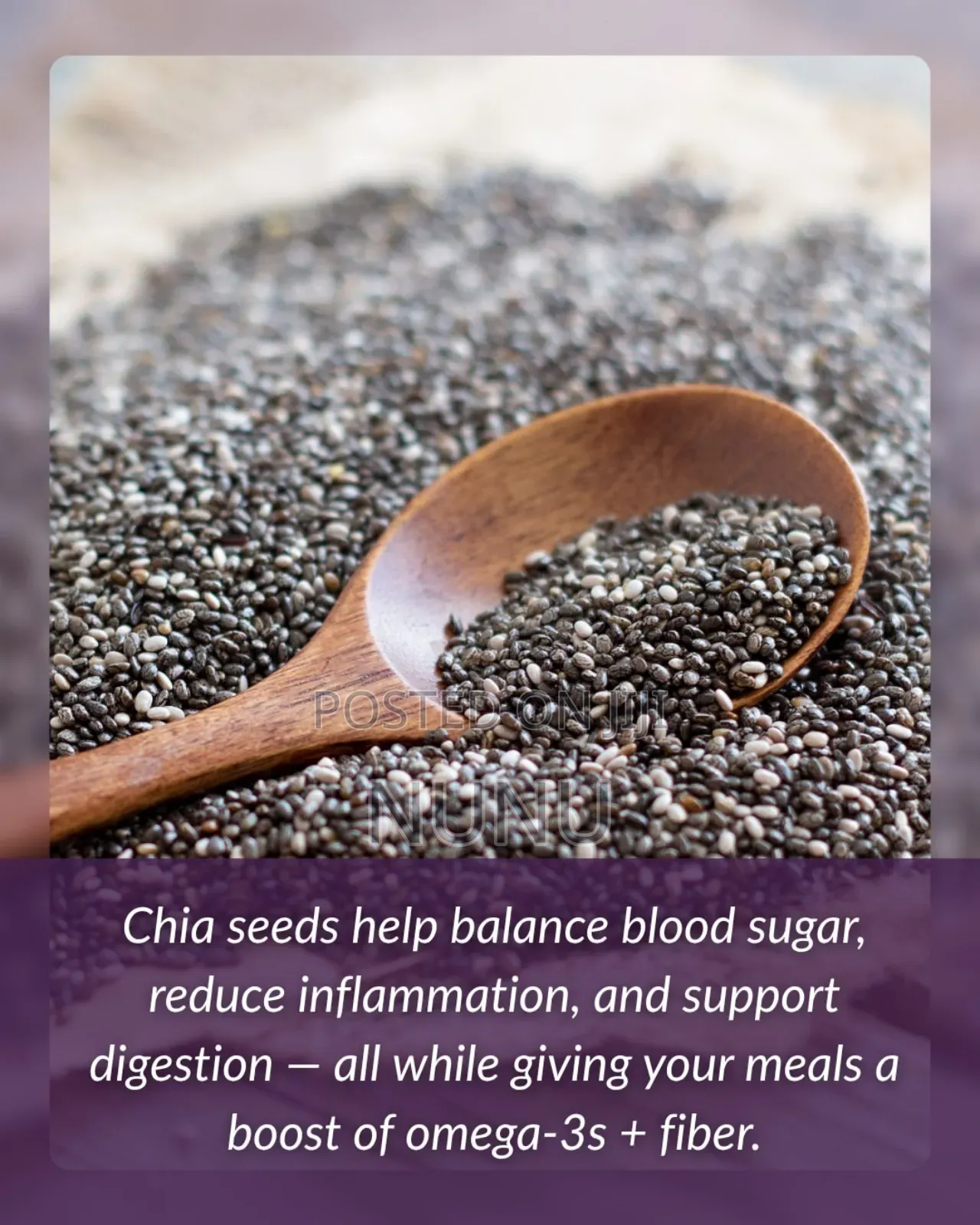 Mayorga Chia Seeds