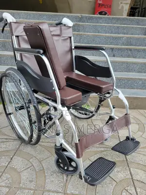 Commode Wheelchair颱吉wheelchair兕assistance Wiz Toileting Due to Illness