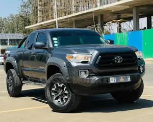 Toyota Tacoma 2020 Gray