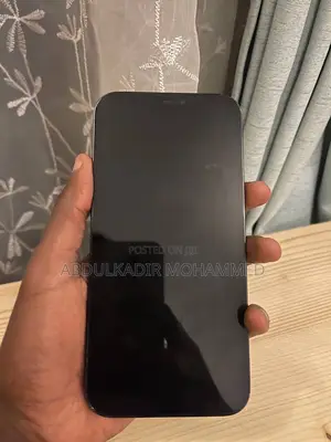 Apple iPhone 12 Pro Max 256 GB Blue